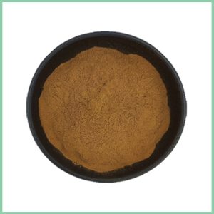 Angelica Sinensis Extract Powder bulk Ingredients Supplier Wholesale