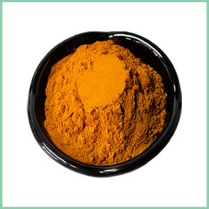 Organic Ashwagandha Root Extract、Withanolides Ashwagandha Powder、Stress Relief Herbal Extract、Sleep Support Supplement Powder
