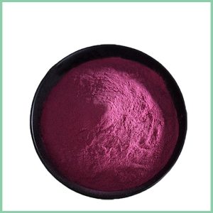 bulkBeet Root Extract Powder for food, beverage and supplement