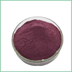 blueberry extract powder