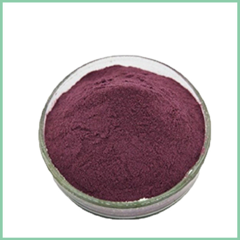 blueberry extract powder