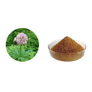 Valerian Root Extract Powder Bulk Wholesale