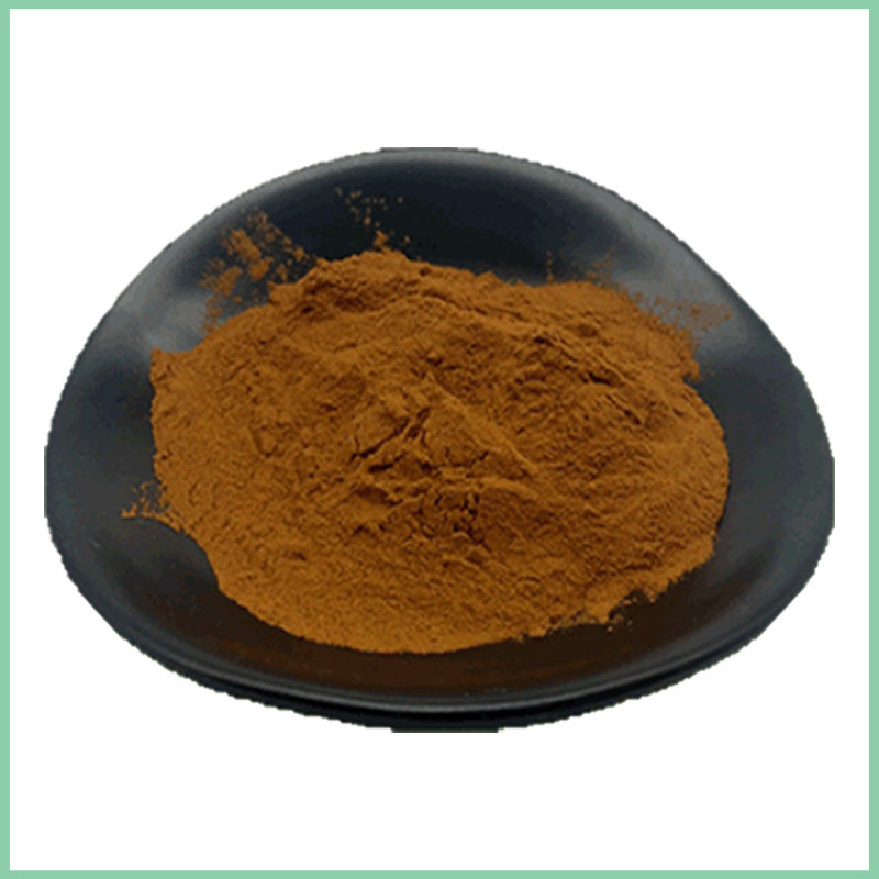 Cinnamon Extract Powder Bulk Supplier