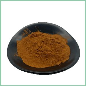Cordyceps Sinensis Extract Powder Health Care Ingredients Supplier Wholesale