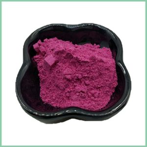 Bulk Wholesale Pure Natural Cranberry Powder | Freeze Dried Cranberry Fruit Powder for Health Supplement