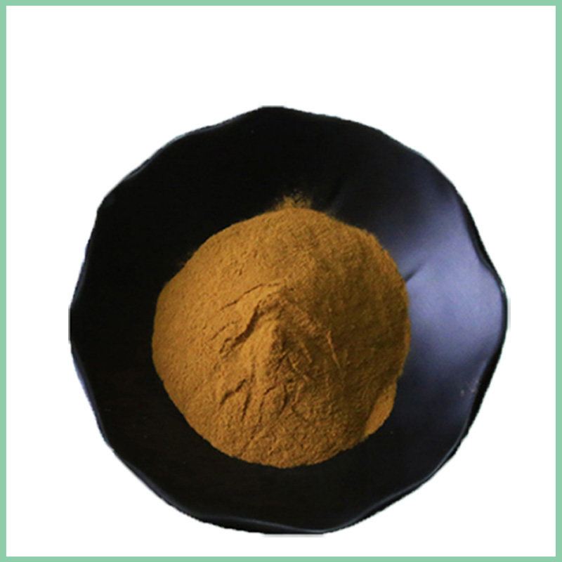 Bulk Echinacea Purpurea Extract for Supplements
