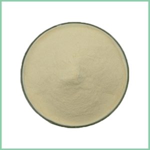Ginseng Extract Powder 20:1 | Natural Herbal Extract Supplier Wholesale