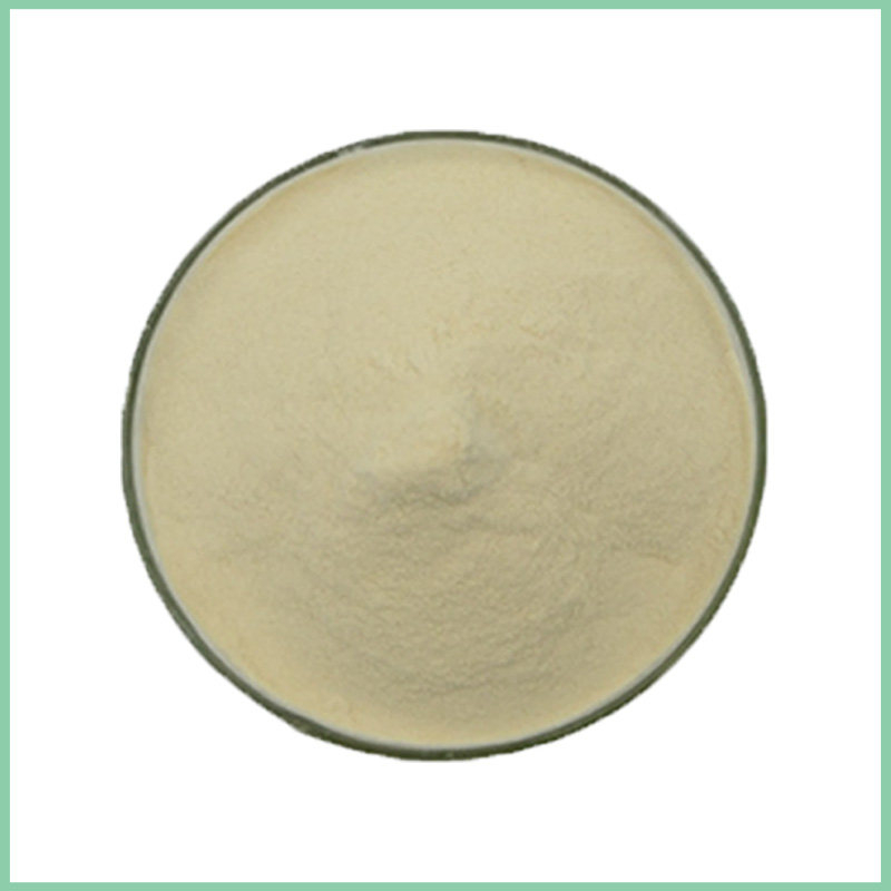 Ginseng Extract Powder 20:1 | Natural Herbal Extract Supplier Wholesale