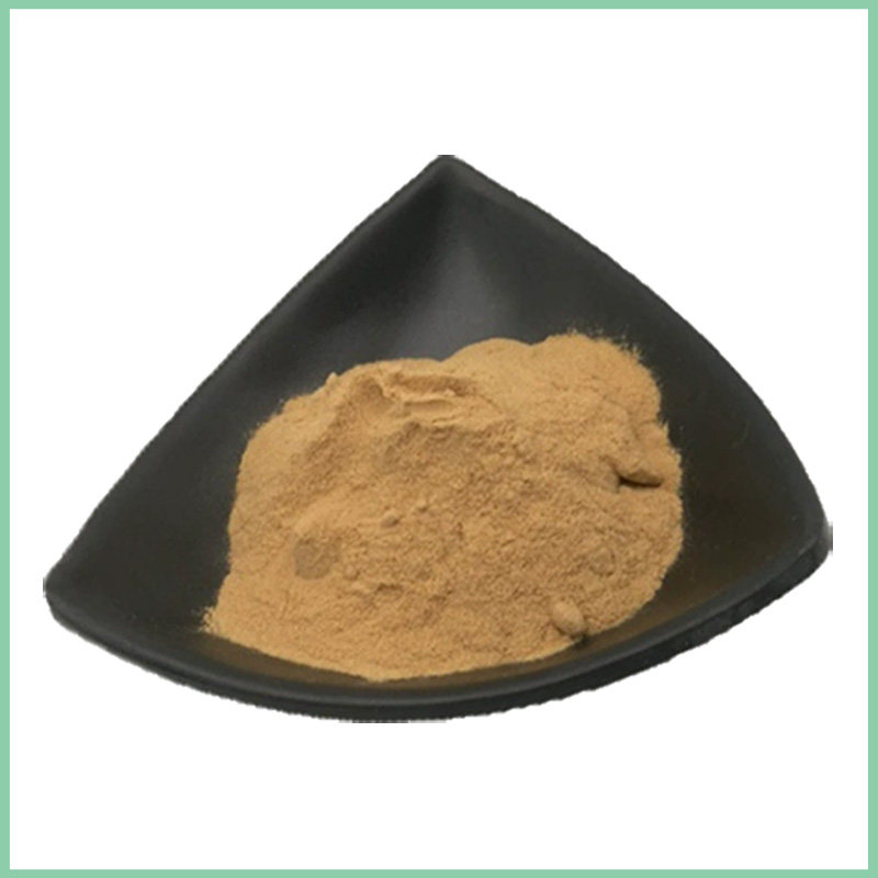 ilymarin Milk Thistle Extract, Organic Milk Thistle Powder, Liver Support Herbal Extract, 80% Silymarin Extract, Food Grade Milk Thistle Extract