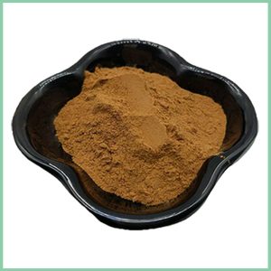 Mulberry Bark Extract Powder