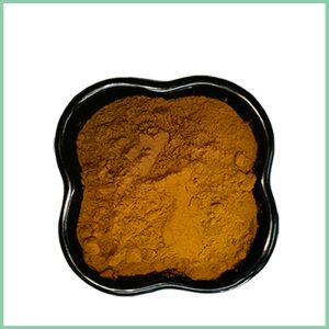Apple Peel Extract Powder Cosmetic Ingredients Bulk Wholesale