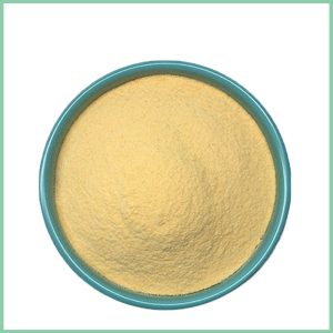 organic mango-powder bulk wholesale