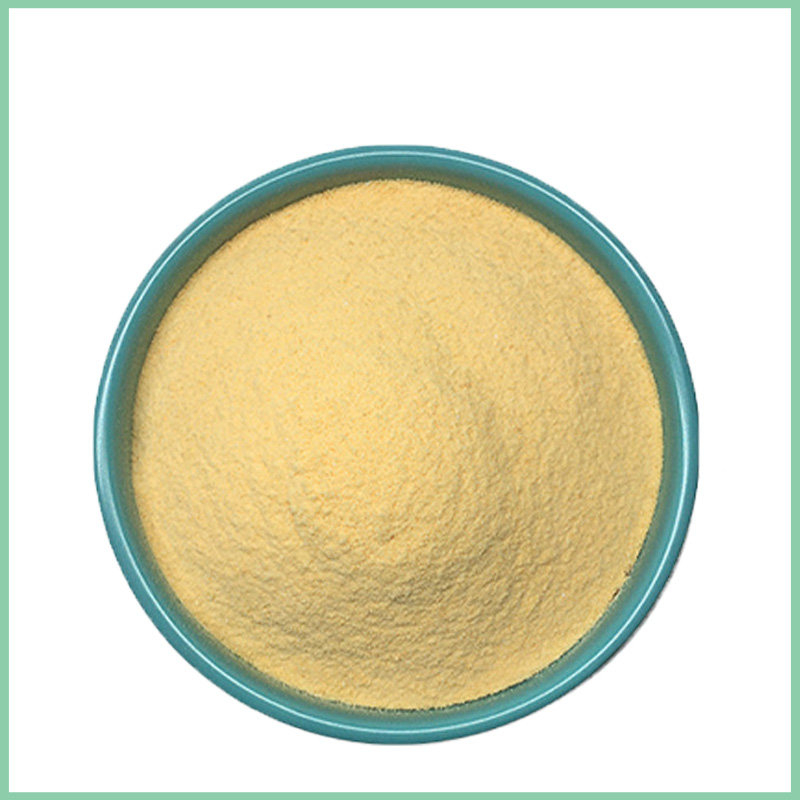 organic mango-powder bulk wholesale