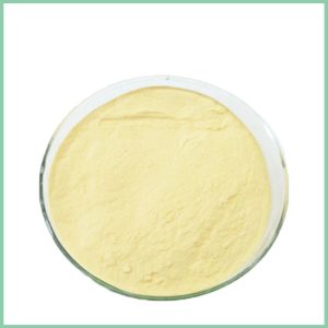 Passion Fruit Extract Powder Supplier & Manufacturer China