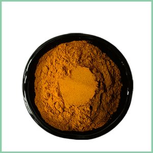 Pumpkin Seed Extract Powder Supplier