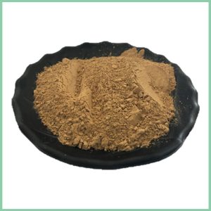 rosemary extract powder, pure rosemary powder, rosmarinic acid powder, natural rosemary antioxidant, cosmetic food rosemary extract