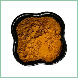 Wholesale Sea Buckthorn Extract Powder Food Ingredients
