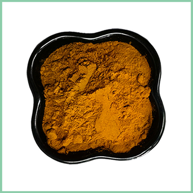 Wholesale Sea Buckthorn Extract Powder Food Ingredients