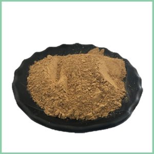 Tea Tree Flower Extract Powder | Cosmetic Ingredients