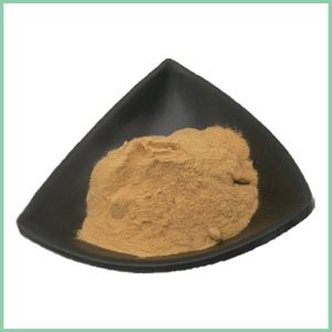 Wholesale Organic Sargassum Powder, Seaweed Sargassum Extract, Bulk Sargassum Supplement Powder, Natural Seaweed Extract
