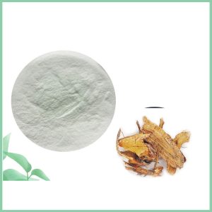 Polygonum Cuspidatum root extract, resveratrol bulk powder, natural antioxidant cosmetic ingredients, herbal health extract wholesale