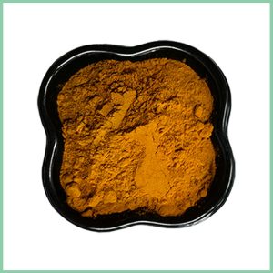 Polygonatum Extract Powder Bulk Wholesale