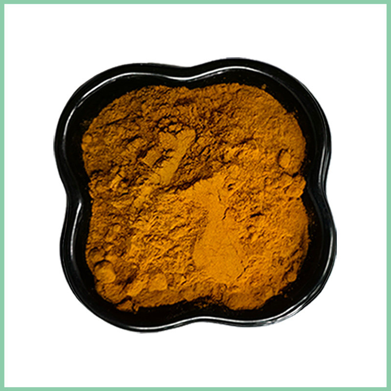 Polygonatum Extract Powder Bulk Wholesale