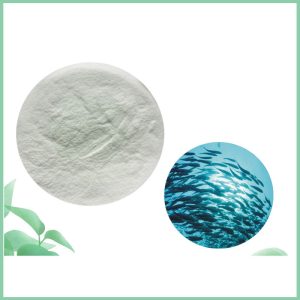 Fish Collagen Peptide Powder Bulk Wholesale