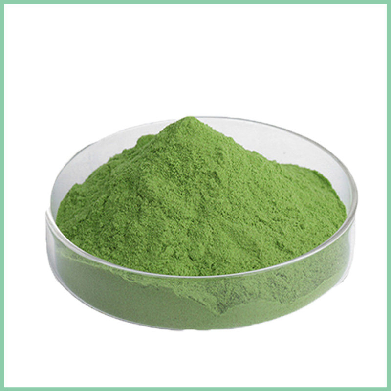 Bulk Wholesale Pure Spinach Powder Extract | Natural Superfood Ingredient